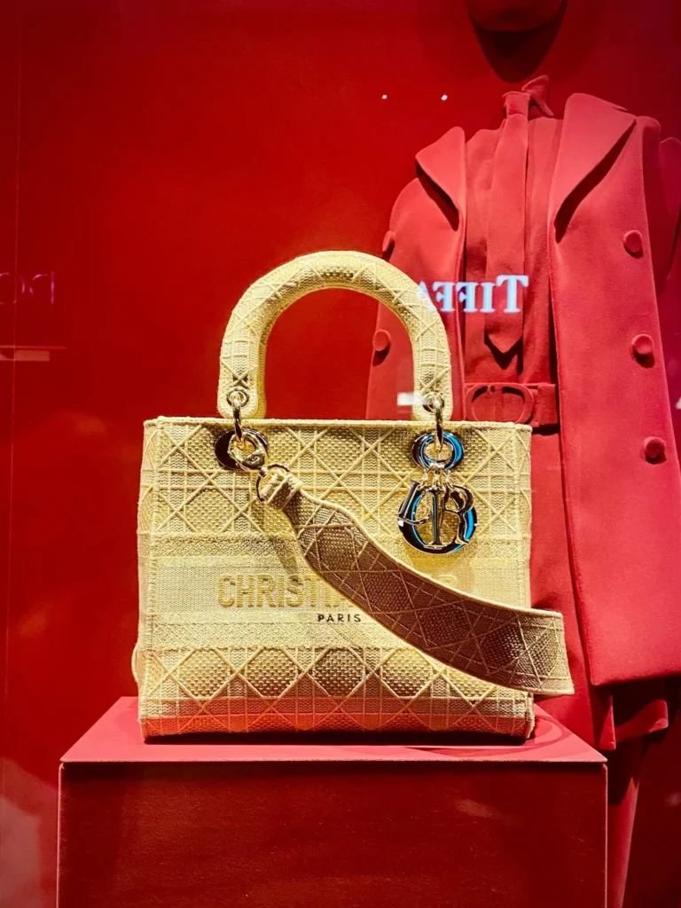 red-and-brown-leather-handbag-scaled