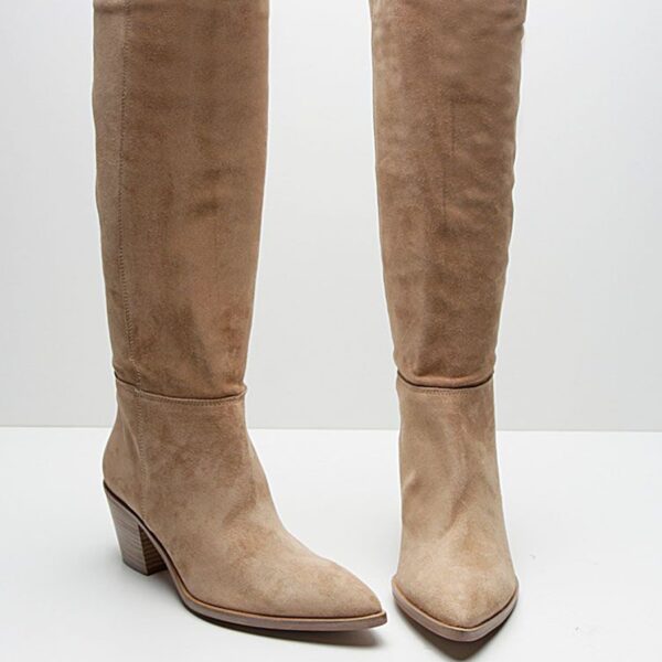 Bottes en daim